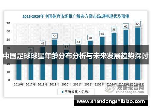 中国足球球星年龄分布分析与未来发展趋势探讨