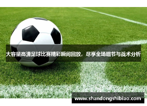 大容量高清足球比赛精彩瞬间回放，尽享全场细节与战术分析